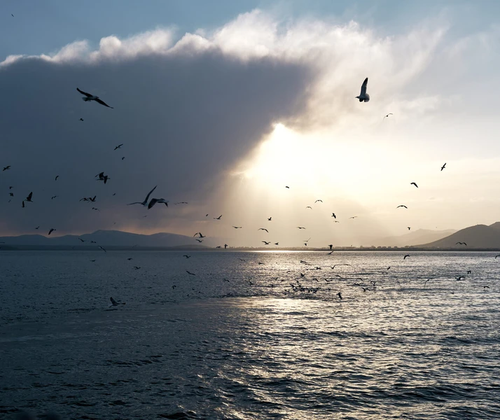 Фото отзыва 2: экскурсия "Севанский круиз на теплоходе: древний монастырь и чайки на закате"