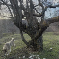 Фото отзыва 3: экскурсия "Ваша Анапа! Экскурсия-конструктор"