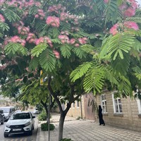 Фото отзыва 1: экскурсия "Из Каспийска — в древнейший Дербент"