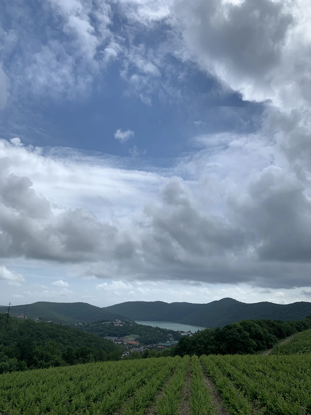 Экскурсия понравилась! Мария отличный гид и приятный собеседник. В Абрау-Дюрсо очень красиво. Рекомендую данную экскурсию