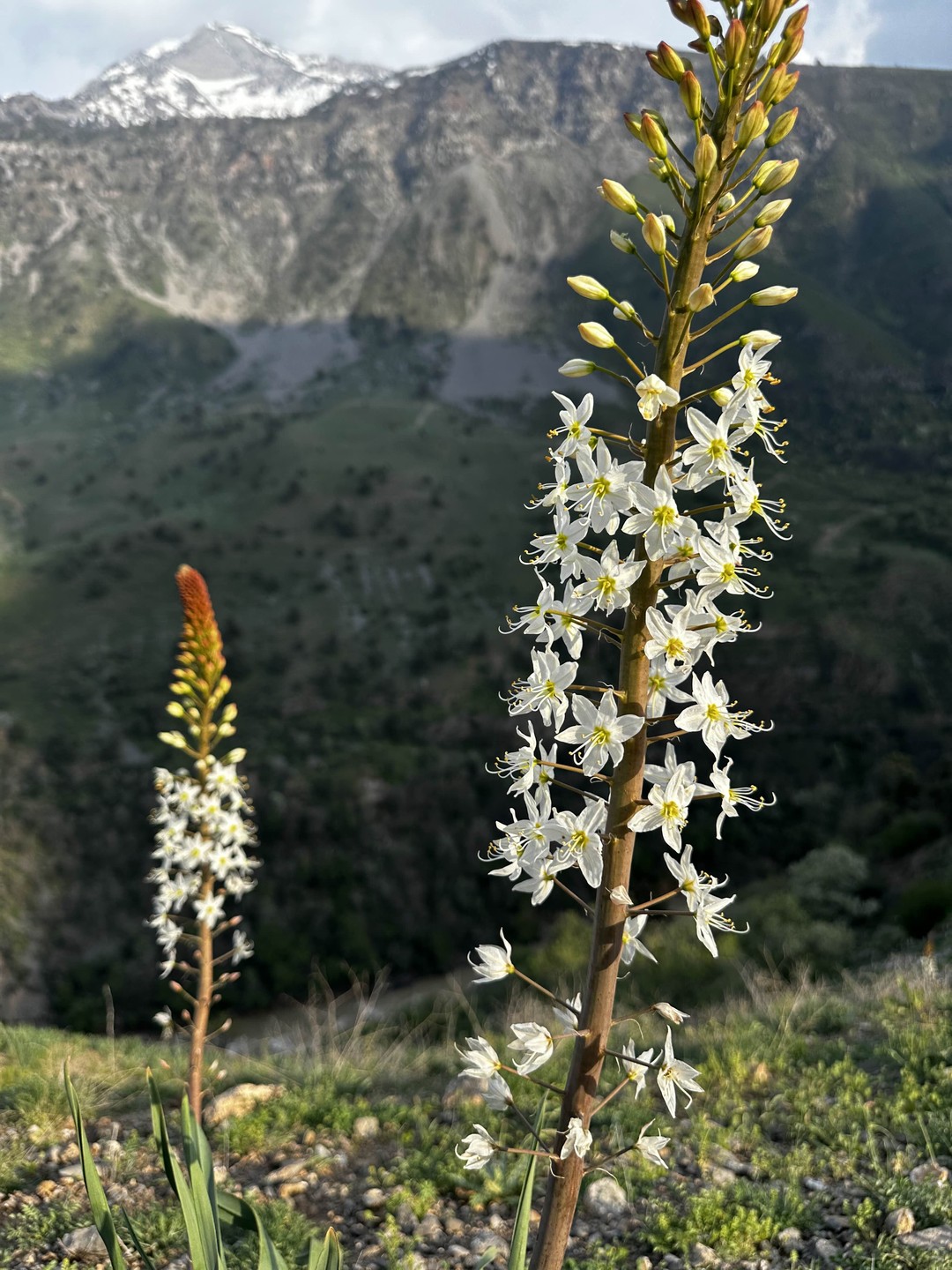 Эта экскурсия была последней в нашем отпуске и стала настоящей жемчужиной впечатлений. Понравилось все. В первую