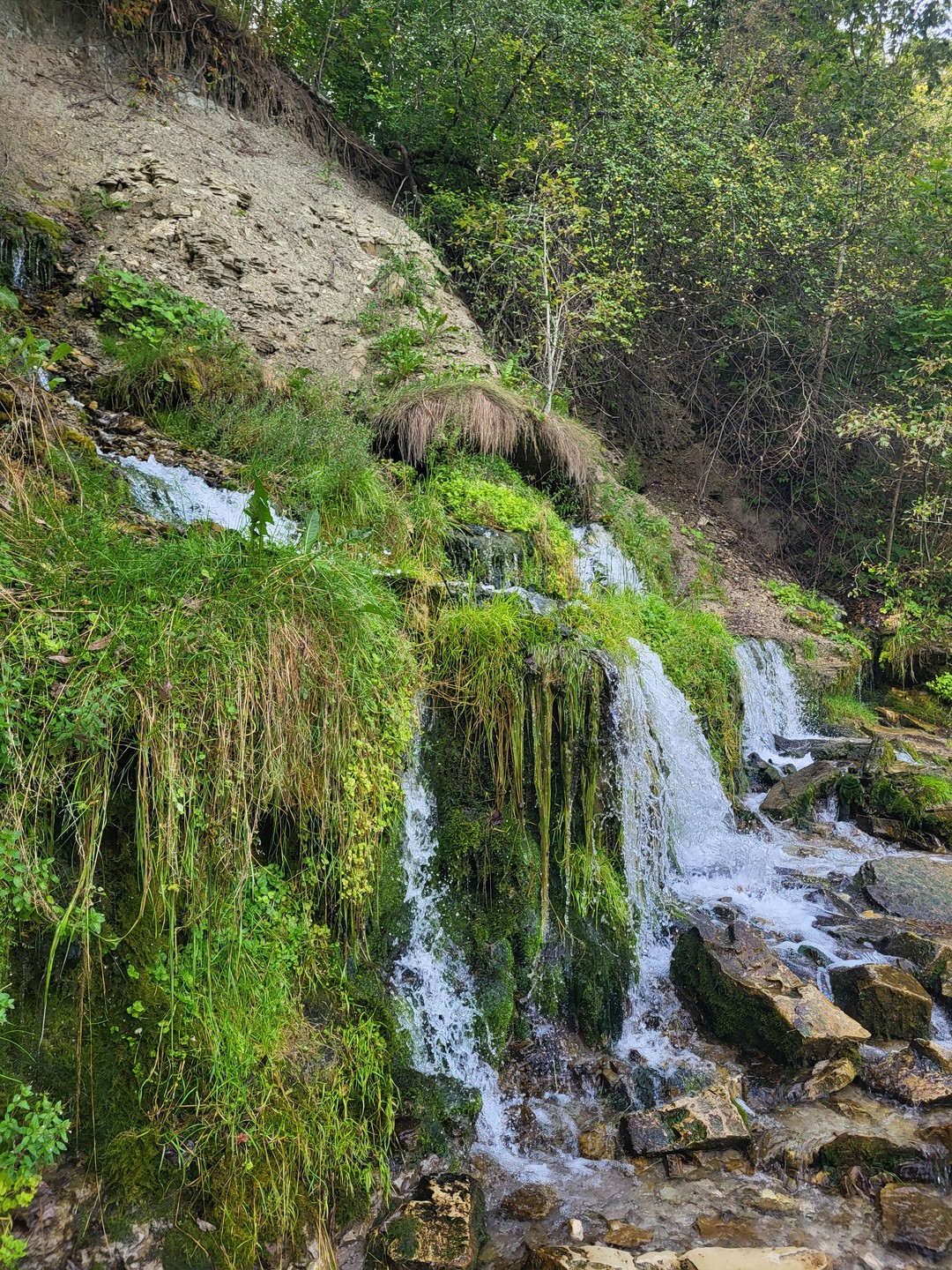 Автобусная экскурсия из Пскова в Изборск и Печоры (Карина)
