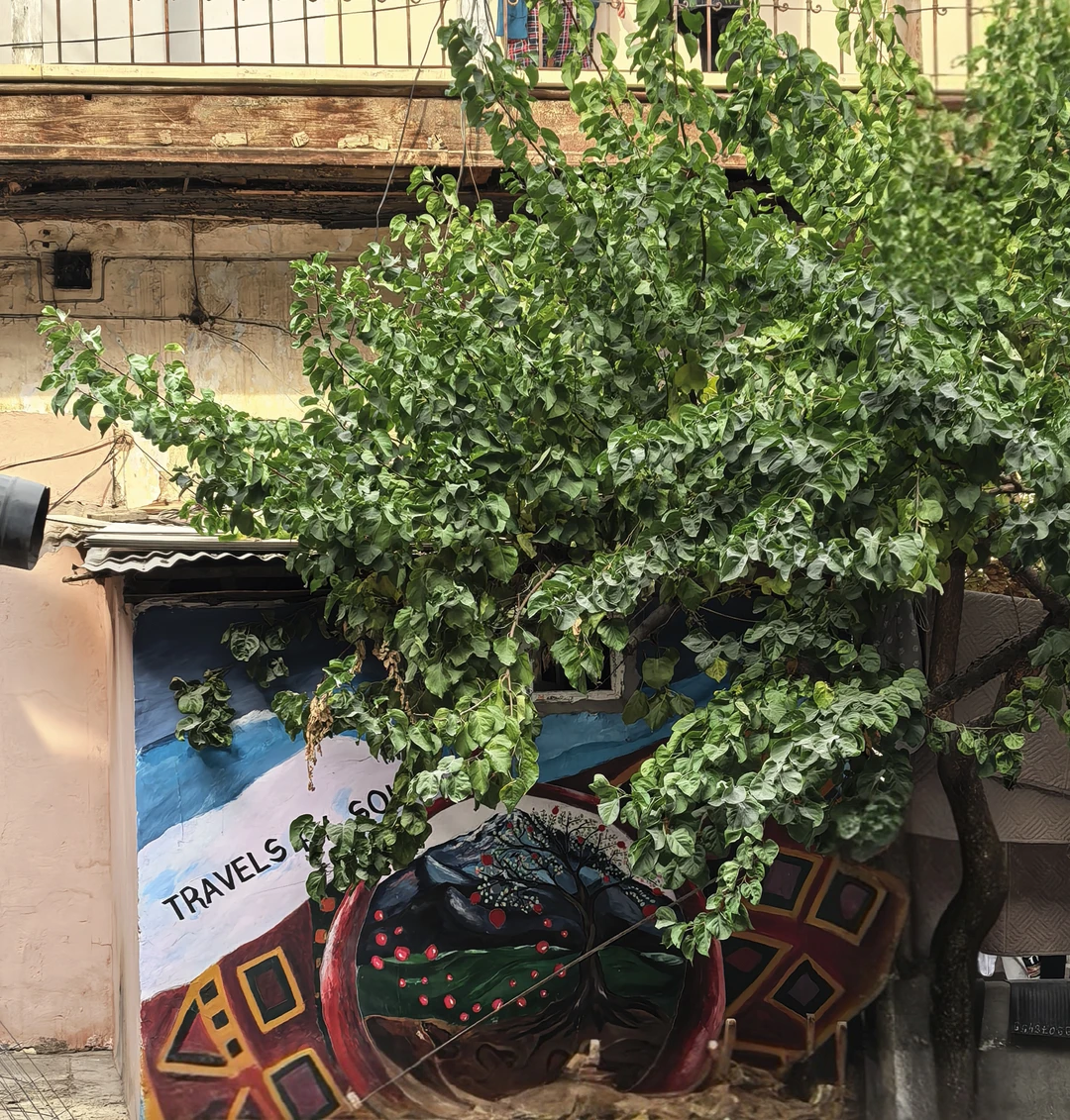 Отличная экскурсия, которая помогла увидеть Ереван с другой стороны, с которой обычному путешественнику не удастся посмотреть