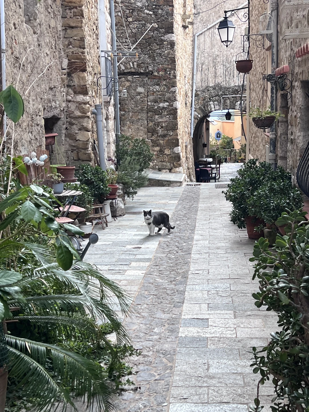 Супер прогулка, нам с дочкой очень понравилось, Екатерина молодец, рассказала и показала нам красоту. Узнали много