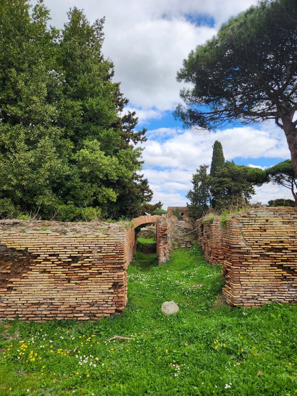 Рекомендую однозначно! На экскурсию попали случайно (из-за опоздания на следующий рейс нужно было чем-то занять незапланированный