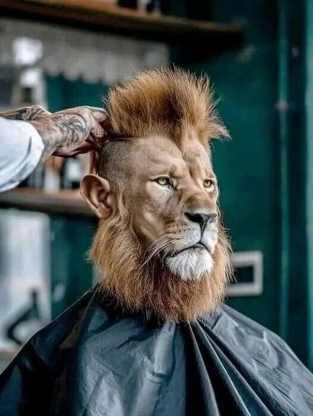 Индивидуальная Экскурсия с собакой с тарифами (Ислам)