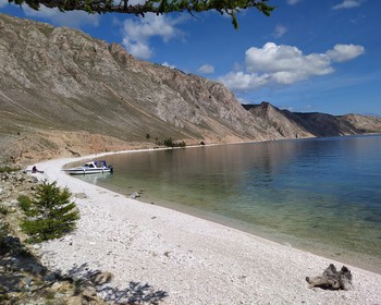 Свободная программа