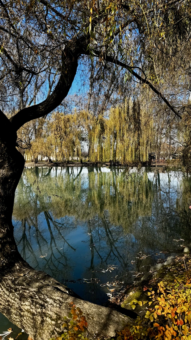 Очень интересная и легкая экскурсия