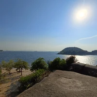 Фото отзыва 2: экскурсия "Остров Пакетá — безмятежная атмосфера вдали от мегаполиса"