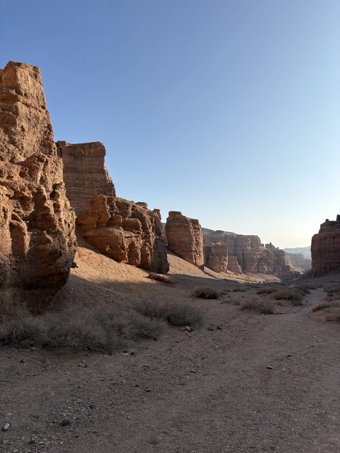 Невероятное чудо расчудесное)))