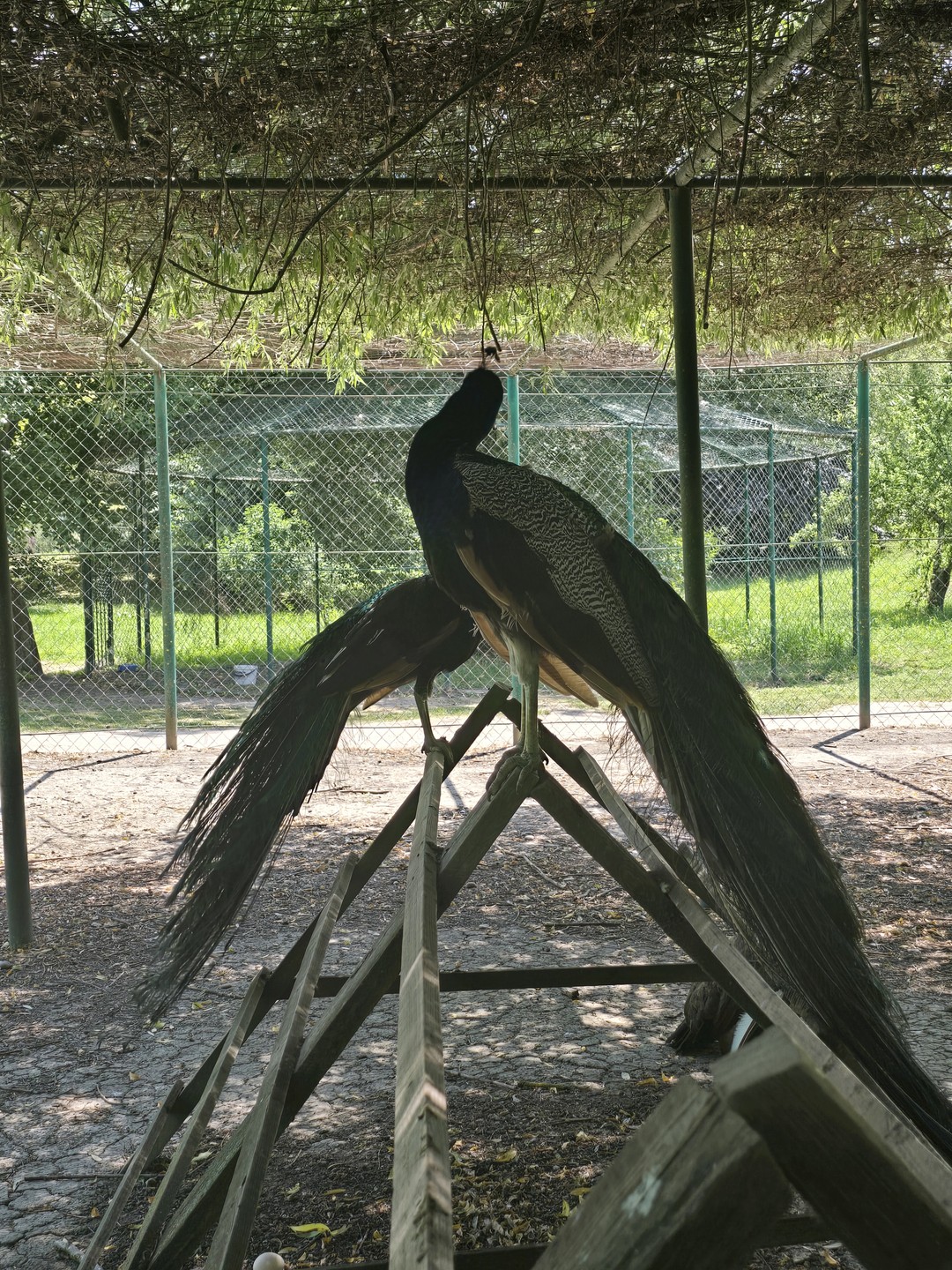 Экскурсия очень понравилась, несмотря на долгие переезды под интересные рассказы Ольги о местной жизни и традициях