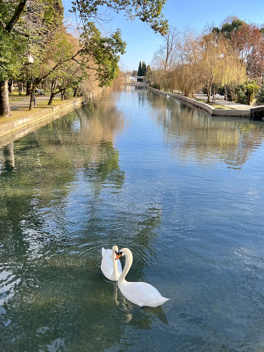 Из Сочи в Абхазию: трансфер-поездка по ключевым местам (10/18)
