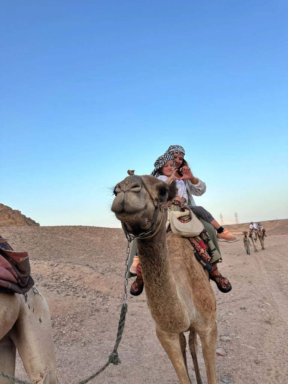 Индивидуальное сафари на верблюдах к Синайским горам и бедуинам (Дарья)