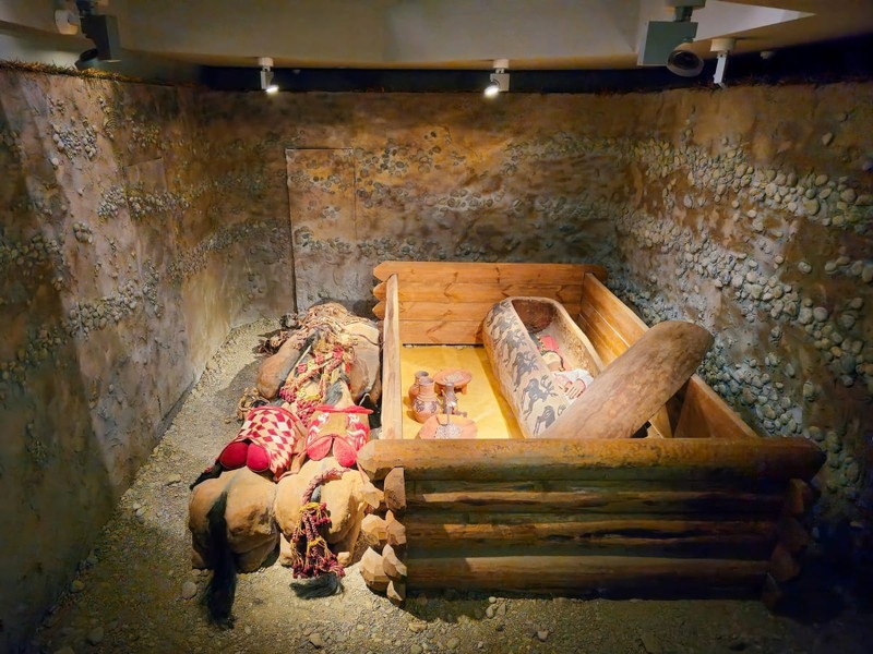 Зимнее приключение: Лебединое озеро, Алтайская принцесса и ездовые собаки