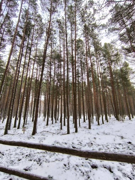 Я бывала уже на Косе в летнее время и решила отправится туда снова, но зимой. Не