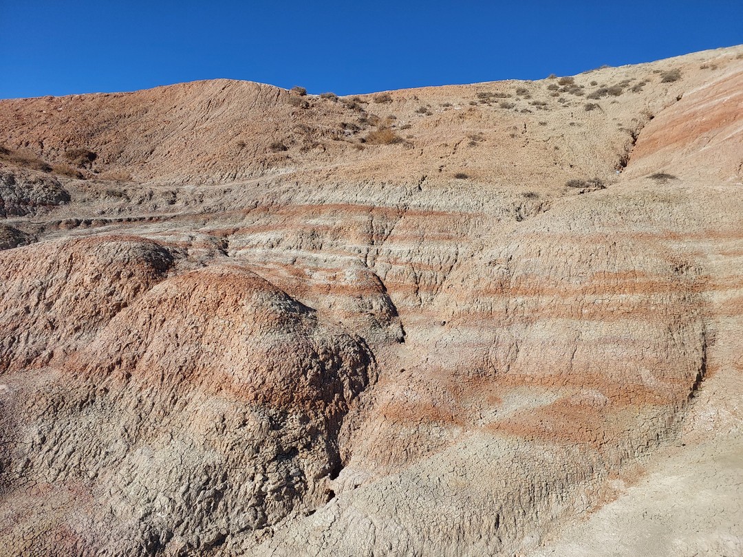 Мне очень было приятно, что Октай и Лачин были гостеприимными и дружелюбными, старались идти навстречу гостям.
