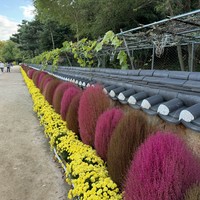 Фото отзыва 2: экскурсия "Знакомьтесь, Инчхон!"