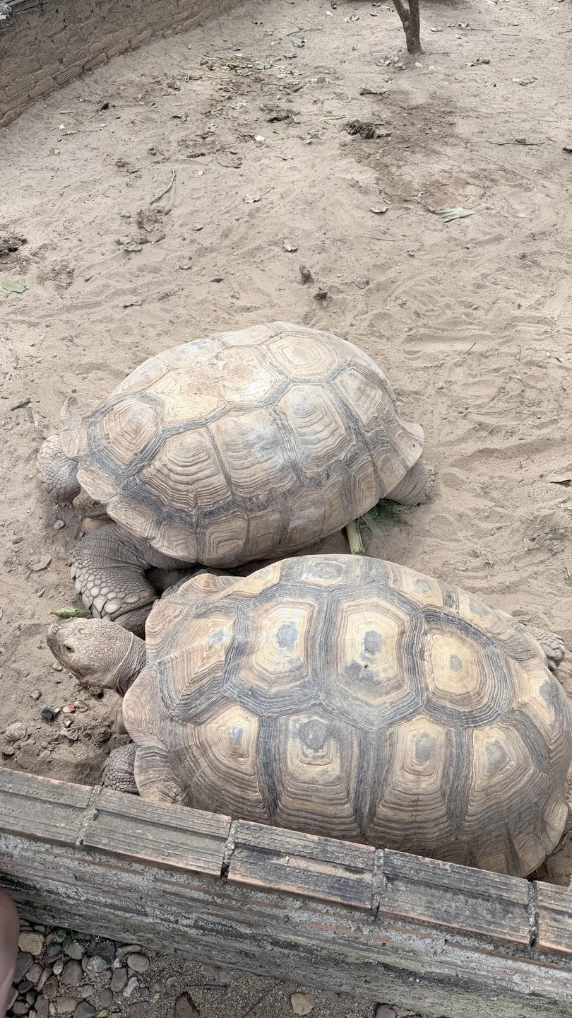 Поездка шикарная! ⭐️⭐️⭐️⭐️⭐️