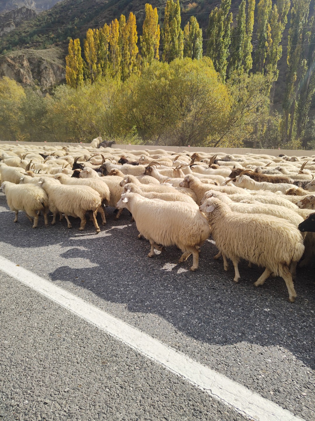 Цейская Сказка: легенды и волшебные панорамы (Полина)