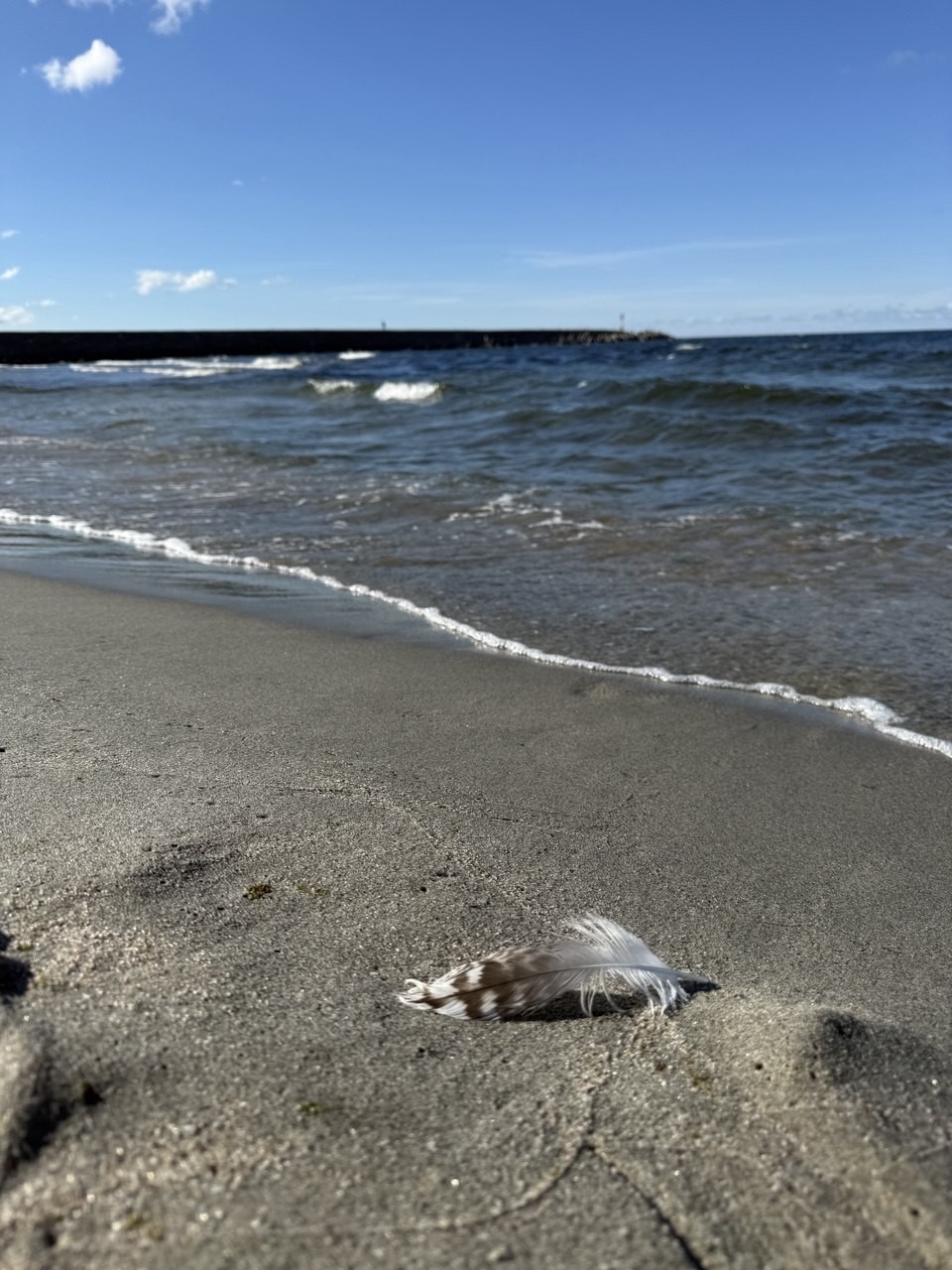 Тимур - вот кто меня влюбил в Калининград и его окрестности!