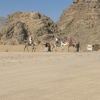 Фото отзыва 1: экскурсия "На квадроциклах в группе: сафари в Шарм-эль-Шейхе"