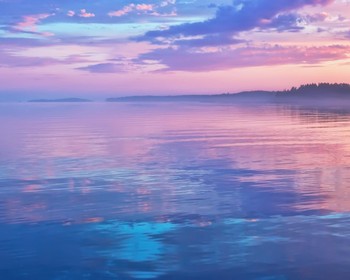 День в вашем распоряжении