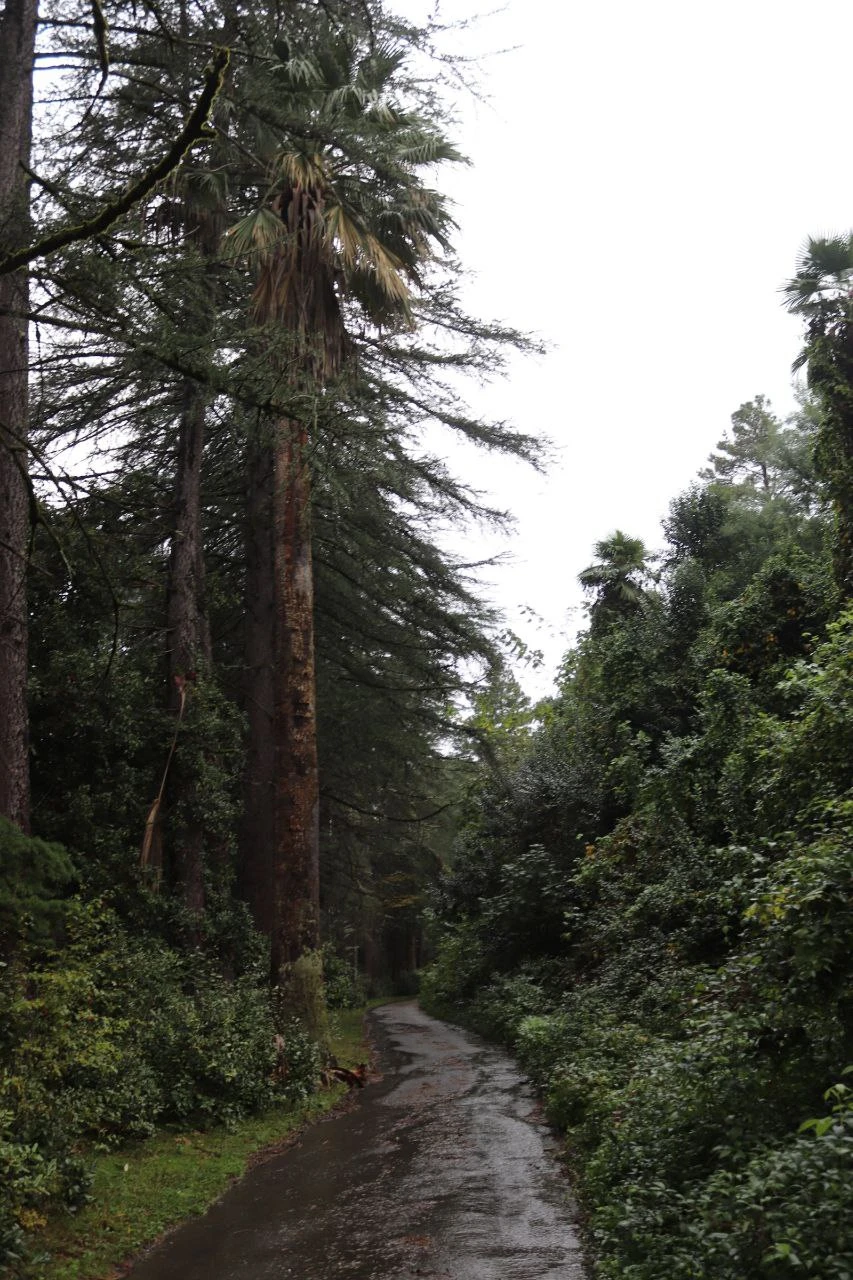 Экскурсия прошла великолепно. Спасибо Гору за интересные рассказы о достопримечательностях, которые встречались на нашем пути, и