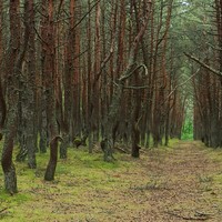 Фото путешественника — 8