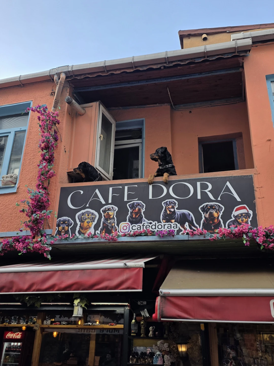 Экскурсию проводил Айдын, очень рекомендую посетить Балат. Была насыщенная программа, много фото. Мы и на трамвае