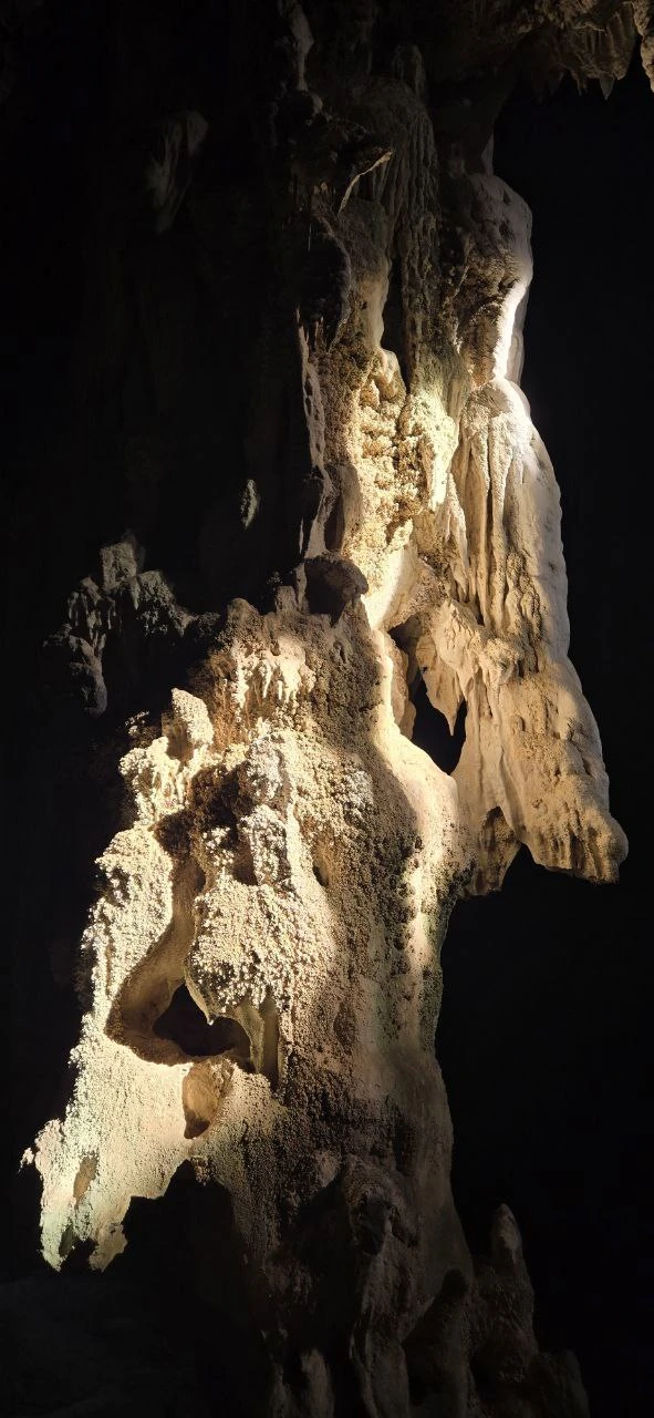 Все отлично организовано, трансфер из отеля забрал вовремя и комфортно довёз до места встречи и начало экскурсии