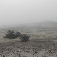 Фото отзыва 5: экскурсия "Куршская коса: земля древних куршей и&nbsp;великанши Неринги (из Калининграда)"