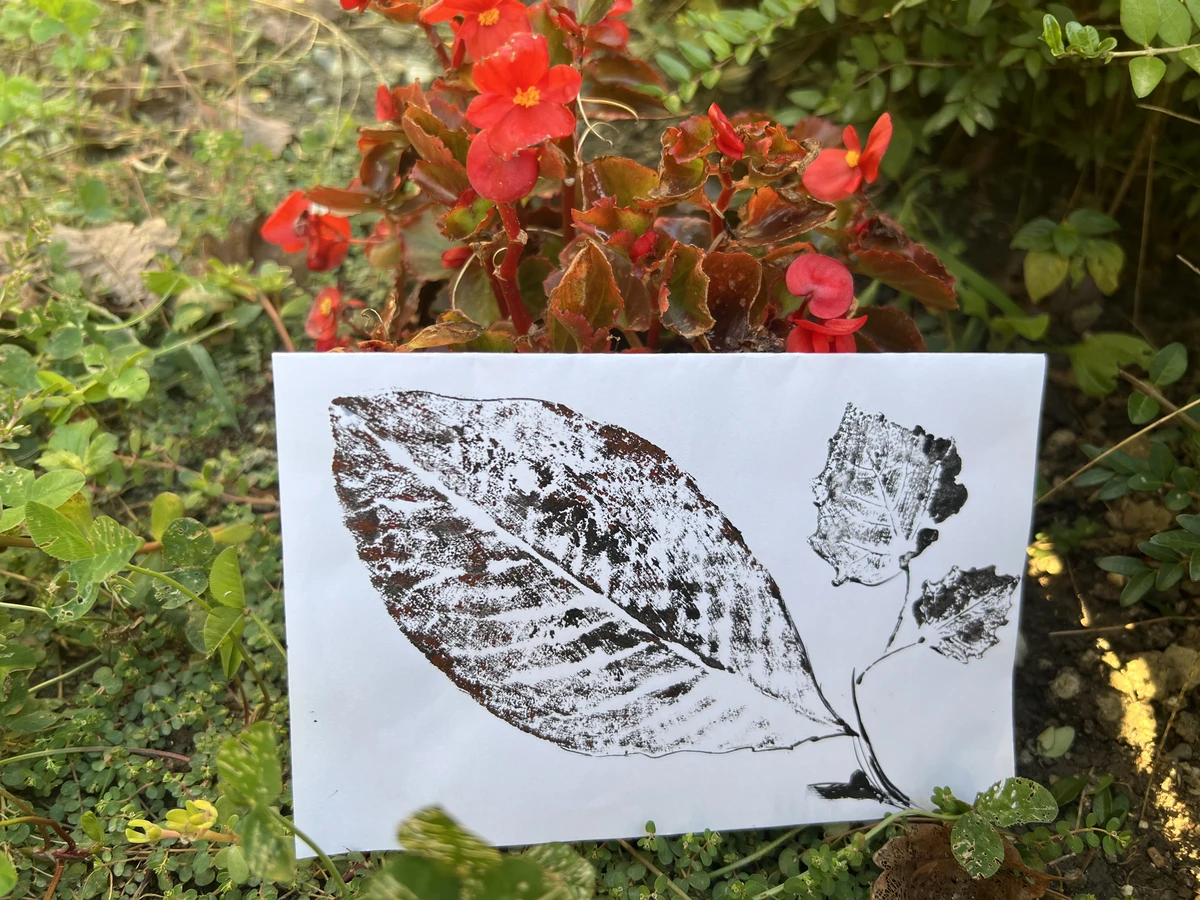 Мастер-класс по монопечати растений в Сочи (11/18)