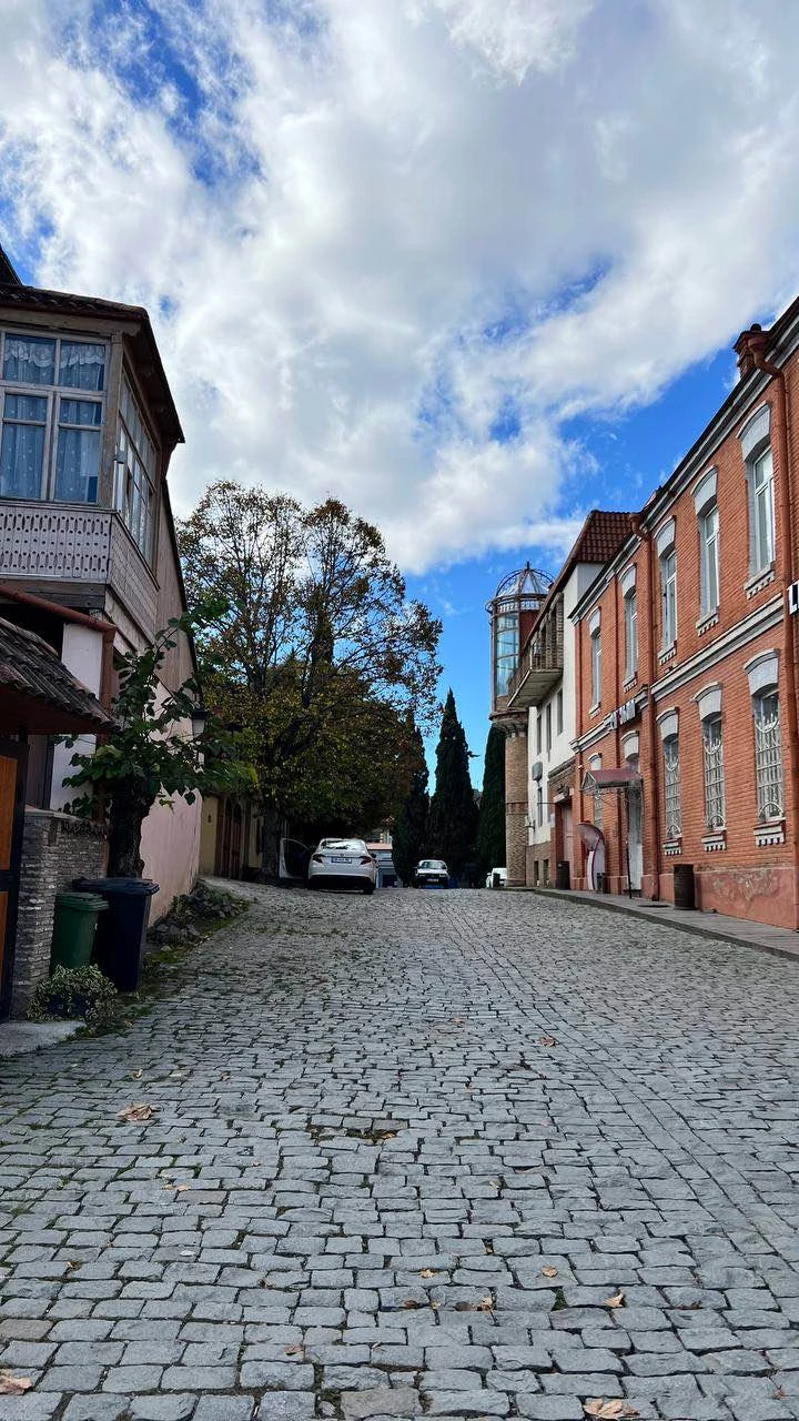 Из Тбилиси - в Кахетию на весь день: вино, храмы и Сигнахи (Ольга)