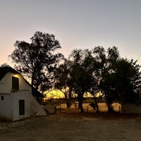 Фото отзыва 2: экскурсия "Экспедиция на West Coast: африканский Санторини и ночь на ферме 18 века (всё включено)"