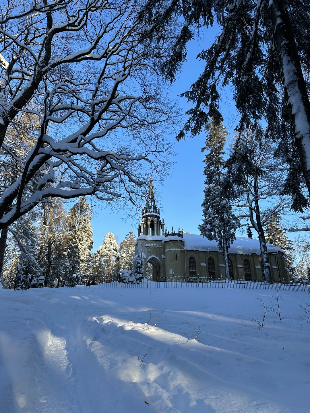 Это был чудесный день, который запомнится мне на долгие годы - по-настоящему снежная дорога и лес,