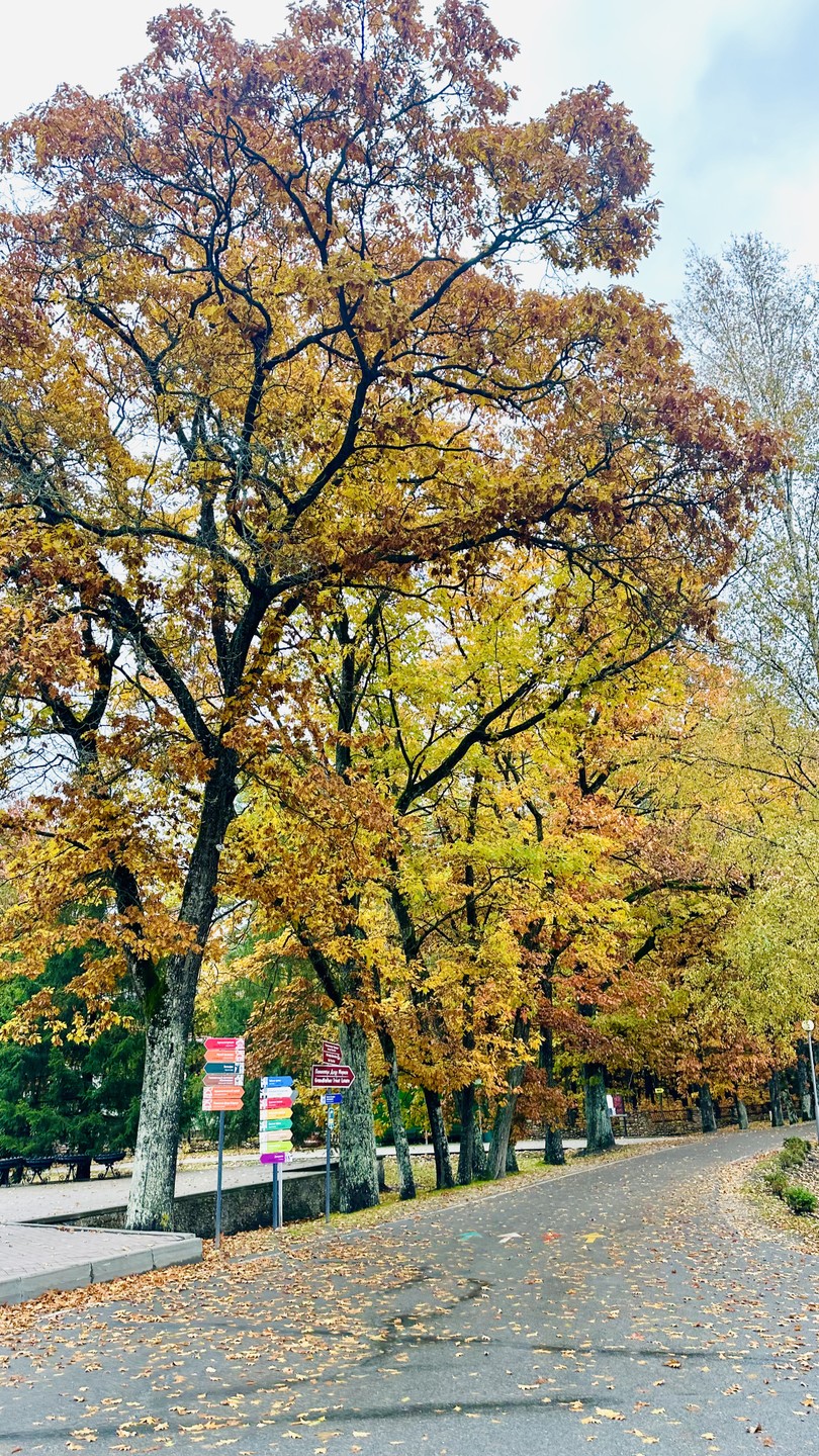 Ездили в октябре 2025 с Николаем, очень понравилась поездка! Водитель очень приятный, вежливый, в машине с
