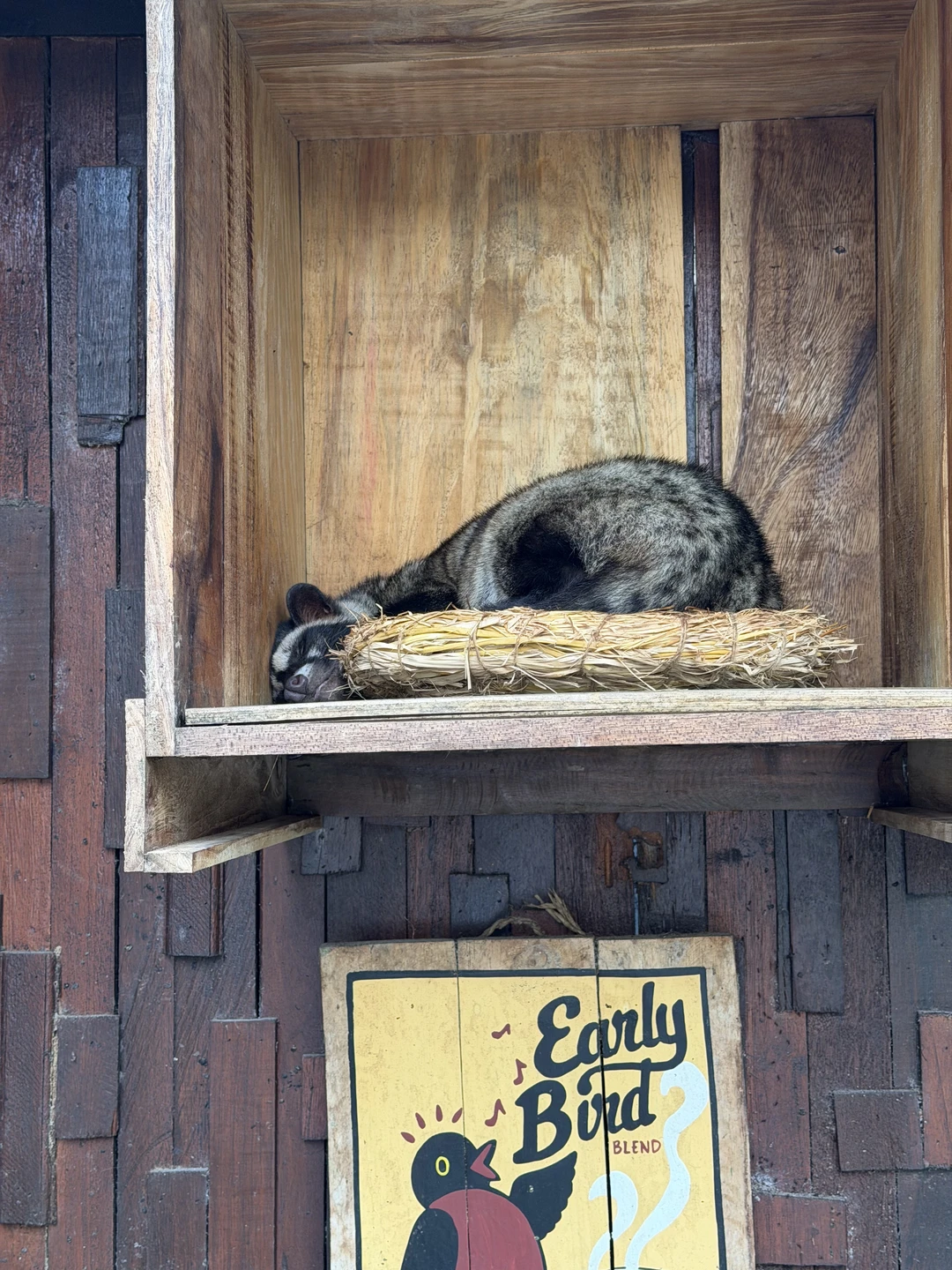 Были с мужем вдвоем. Экскурсия очень понравилось! Гид тоже. Очень интересно рассказывал про традиции Бали и