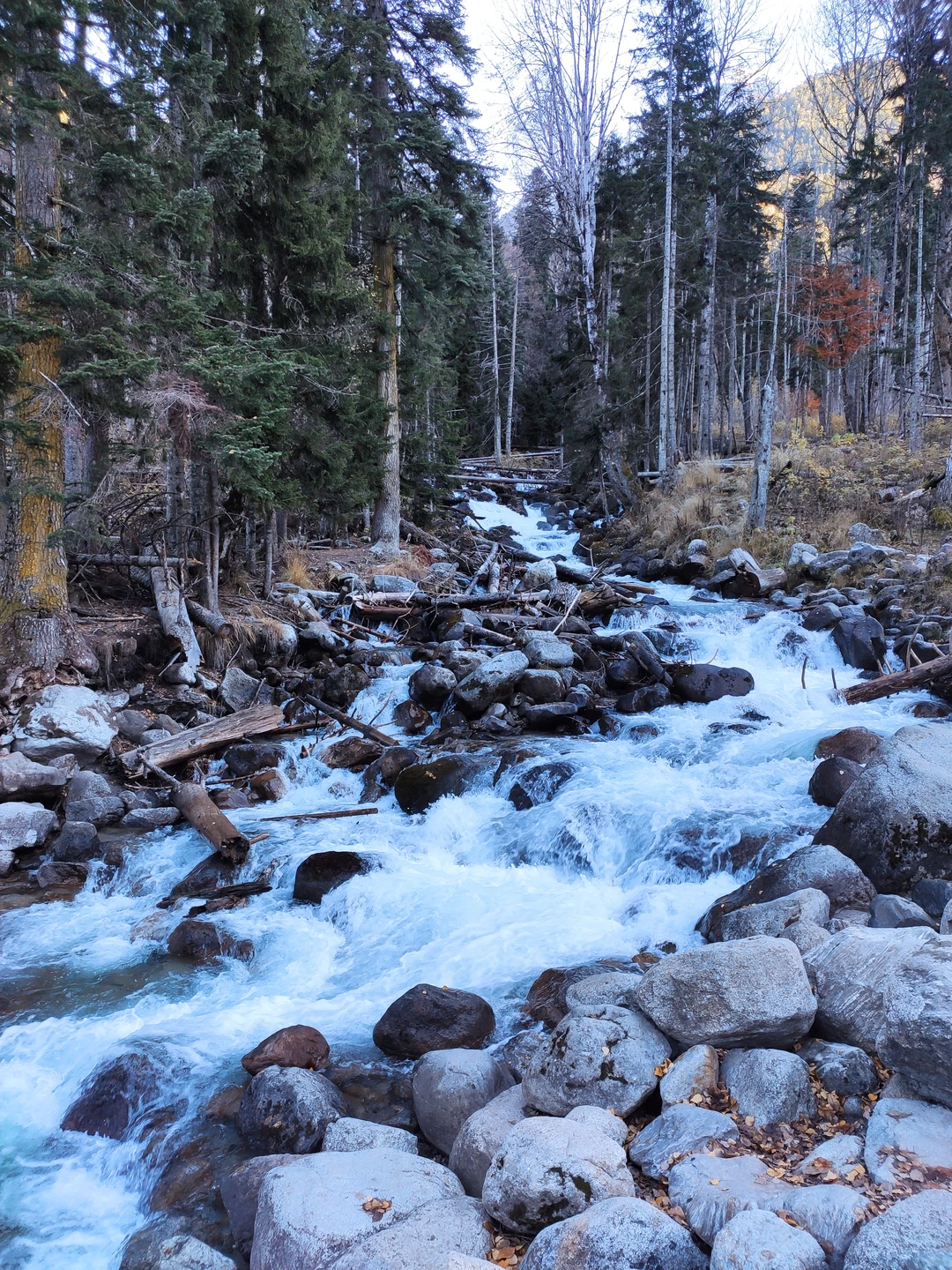 Очень хорошие впечатления остались от данной экскурсии. За интересные истории и познавательную информацию спасибо замечательному гиду