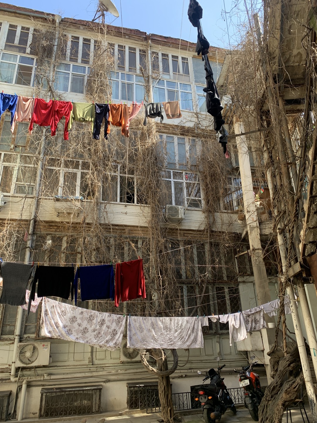 Баку и бакинцы (Надежда)