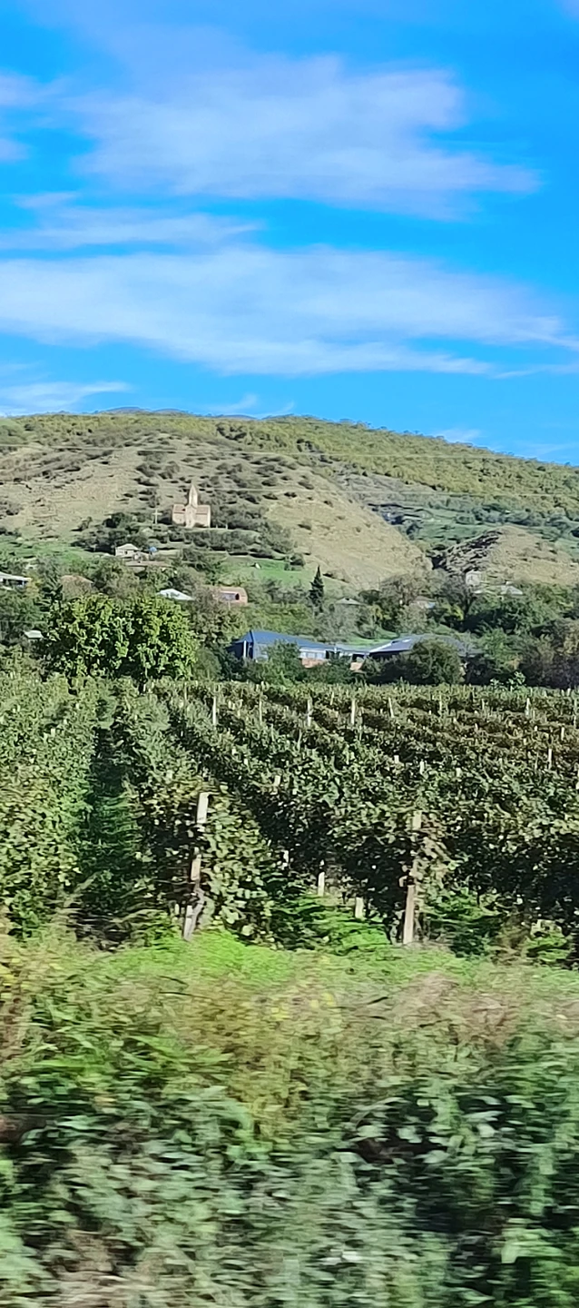 Золотое кольцо Кахетии (Лариса)