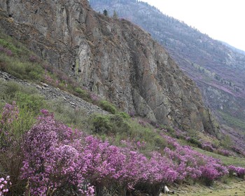 Прибытие и посещение Ороктойского моста