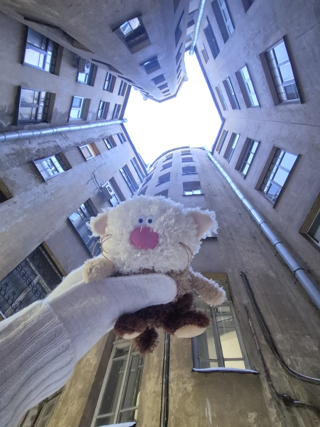 Секреты Петроградской стороны: дворы-колодцы, парадные и доходные дома (Ирина)