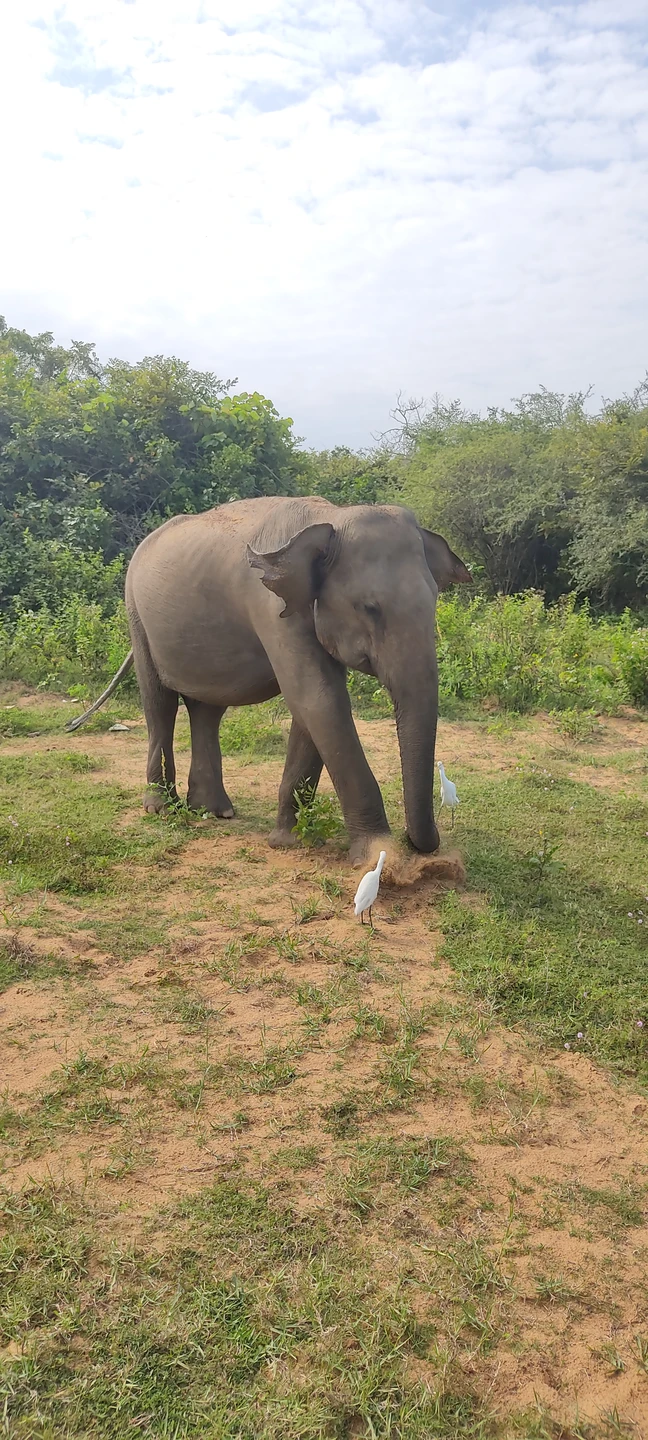 Экскурсия в целом очень понравилась, но наверное немного утомила дорога - слишком большие перегоны между точками
