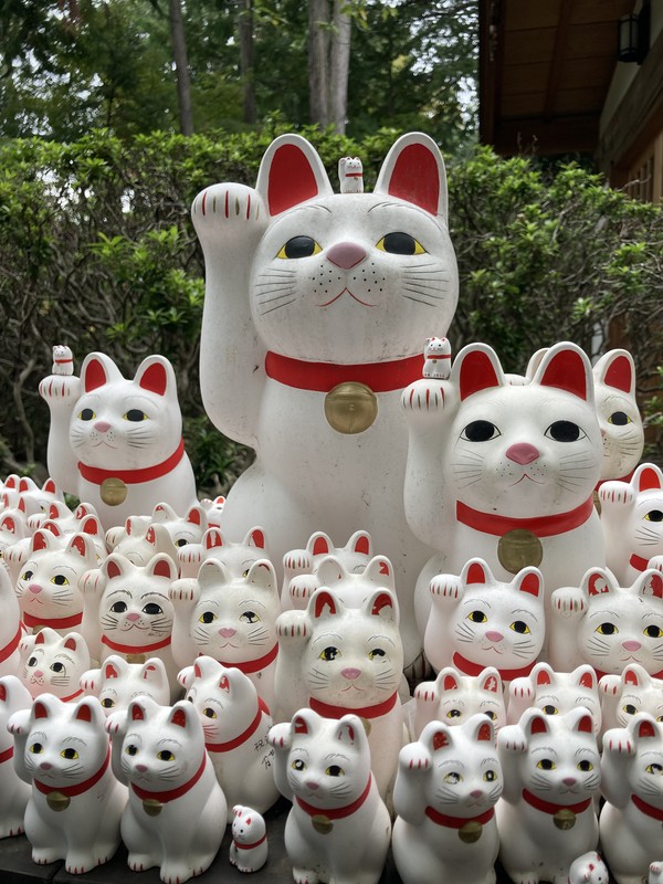 Токио в тени взмаха кошачьей лапы