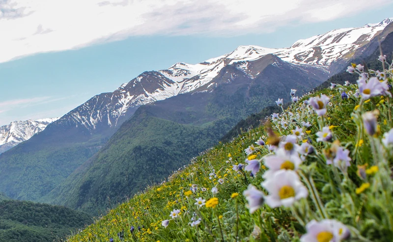 Треккинг-тур в Архыз с комфортом: прогулки в горах налегке с проживанием в гостевом доме