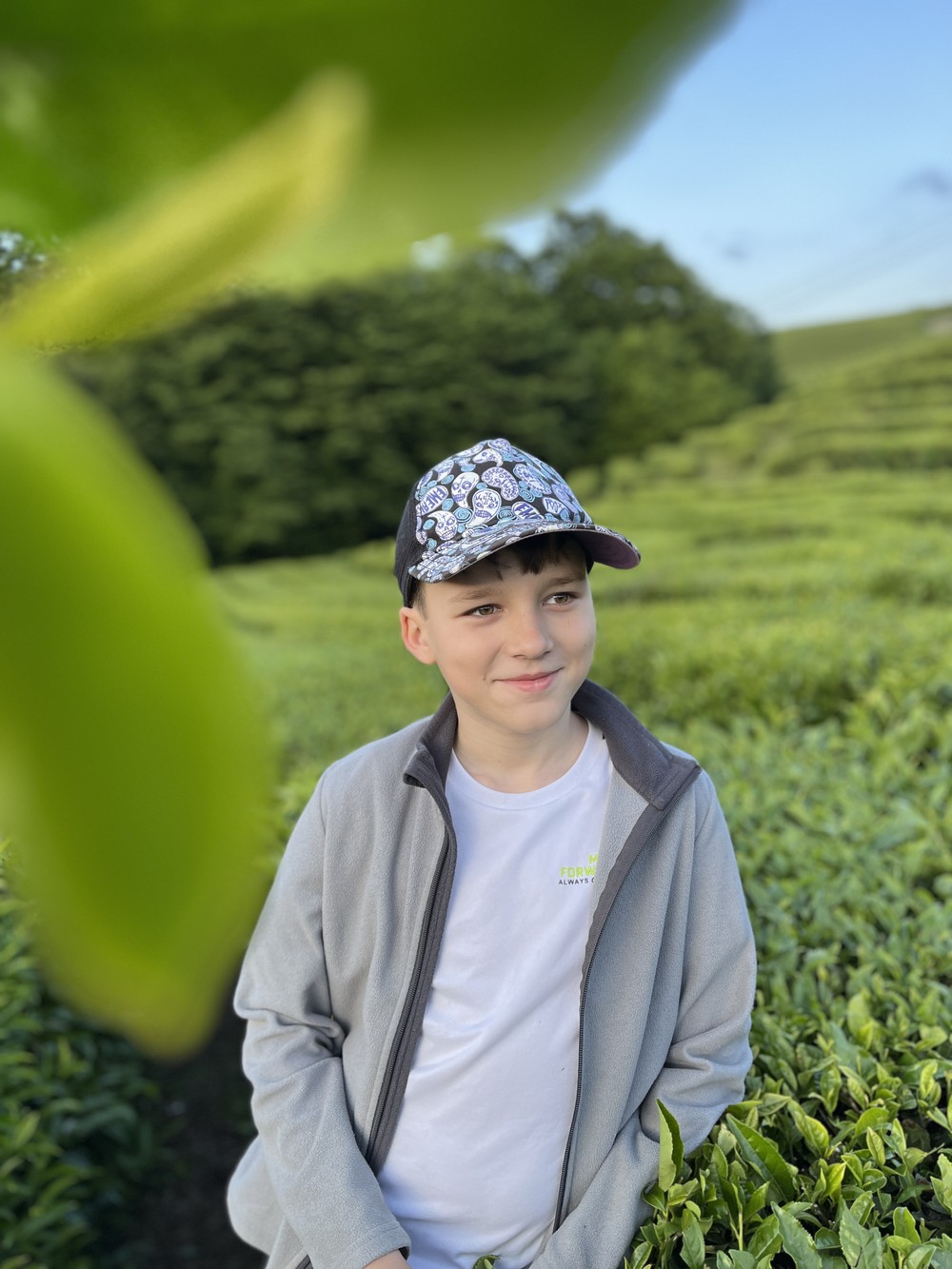 Сочи: путешествие в мир чая (17/19)