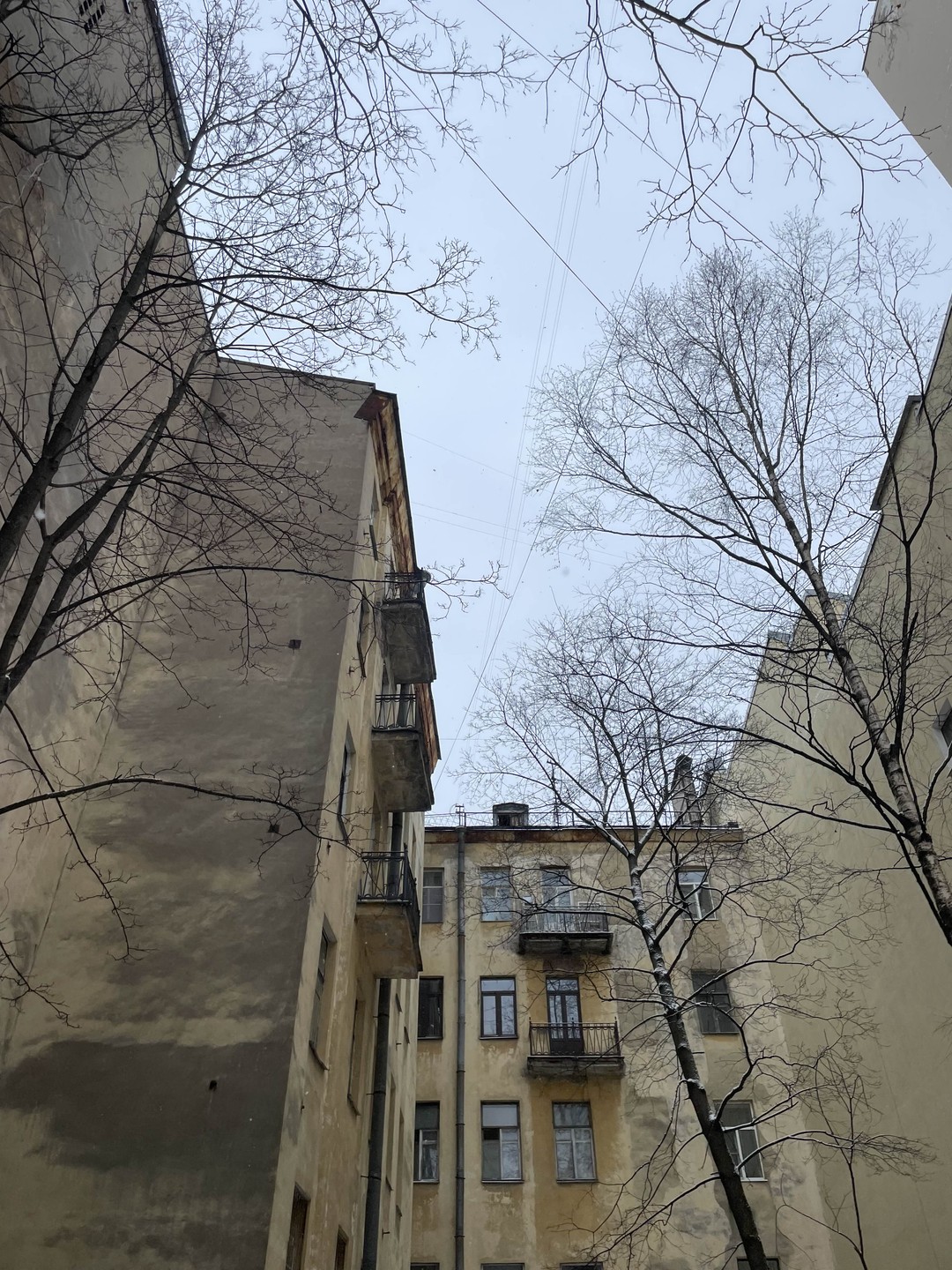 Ходили с Антоном по Семенцам. Все очень понравилось, выражаем большую благодарность. Пешая прогулка прошла бодро и
