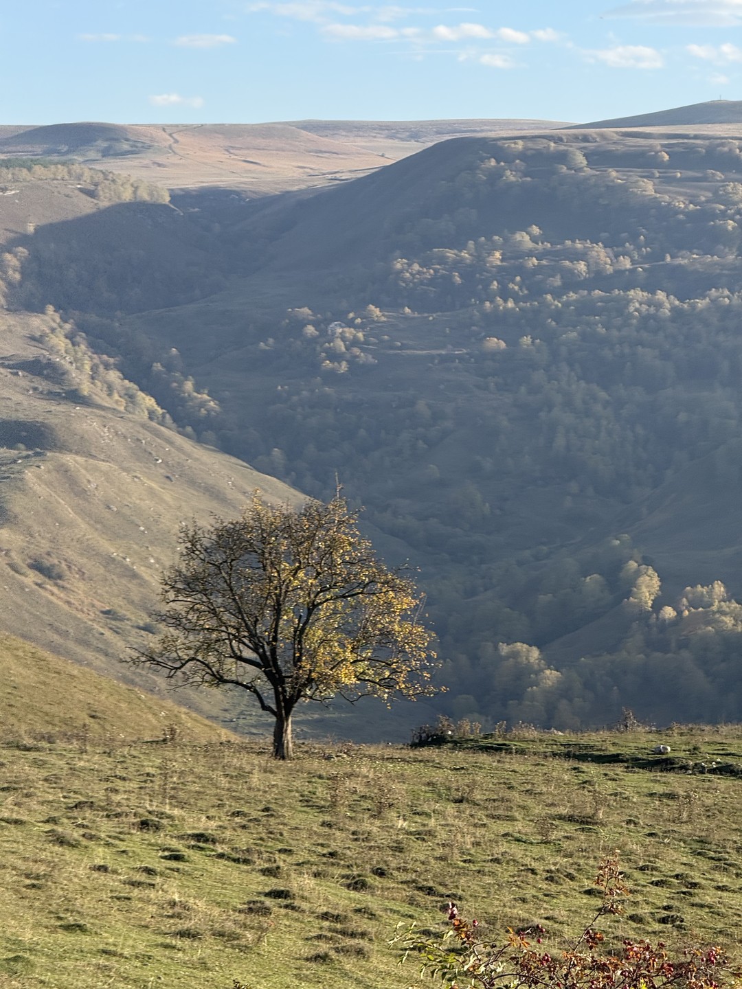 10/10 только благодаря маленькому гиду Рустаму