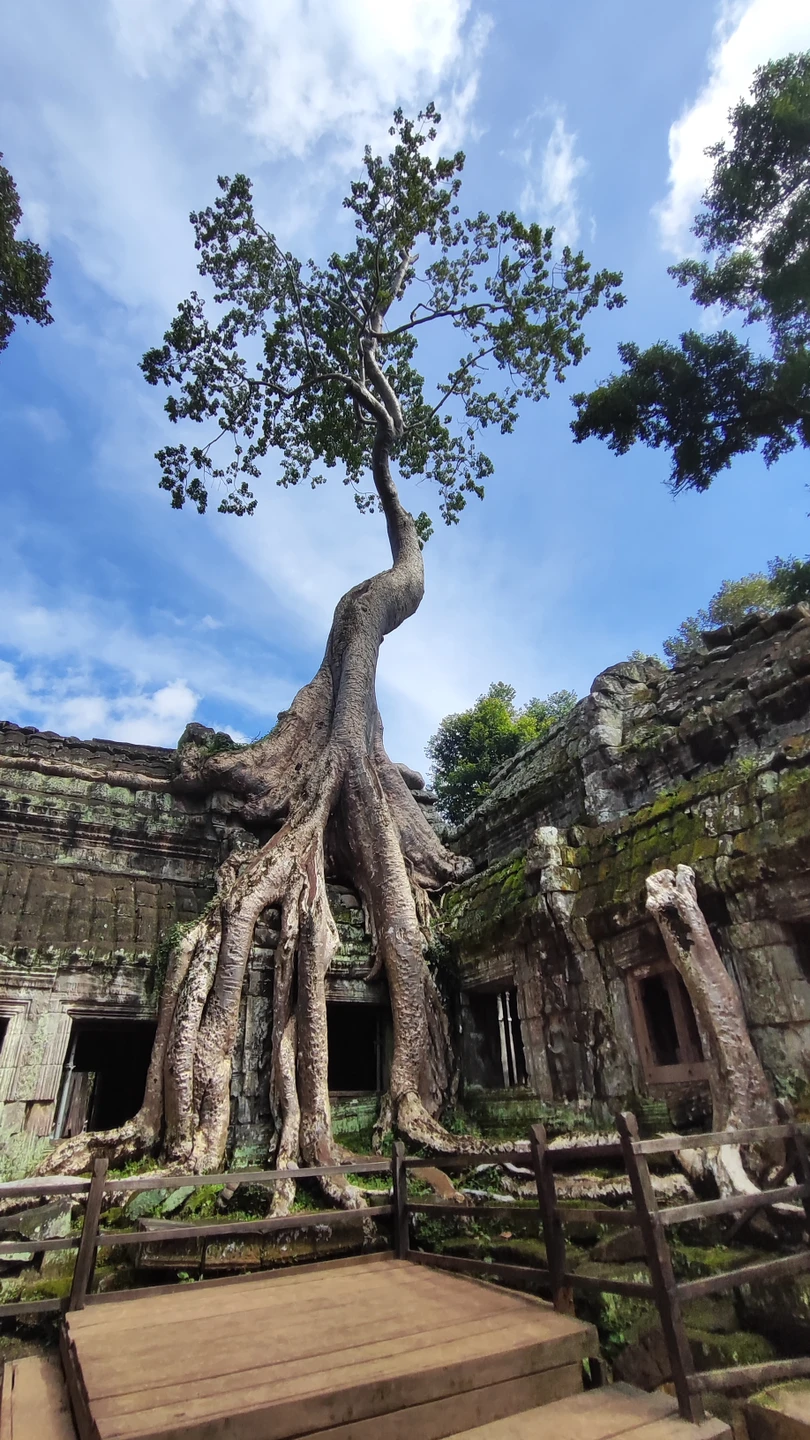 В рамках данного тура мы с группой за две недели посетили 5 стран Азии в ноябре 2023 года.