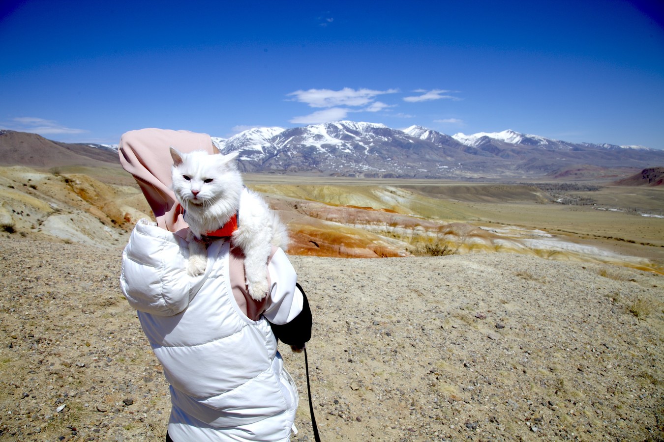 В мини-группе на Алтай: от Горно-Алтайска до Монголии через Телецкое озеро